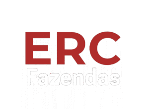 quanto vale uma fazenda em Goiás