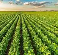 quanto vale uma fazenda em Goiás