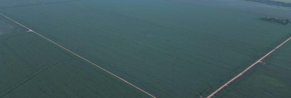 Fazendas no Mato Grosso - Investir no agro em 2026 -